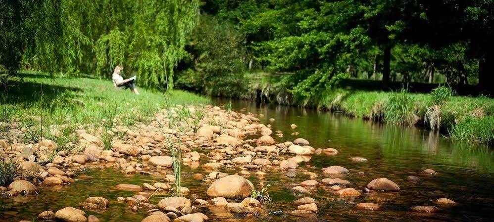كيب تاون بيت ضيافة مسكن ويلوبروك المظهر الخارجي الصورة